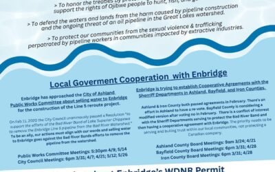 Local Government Cooperation with Enbridge; Enbridge’s WDNR Permit